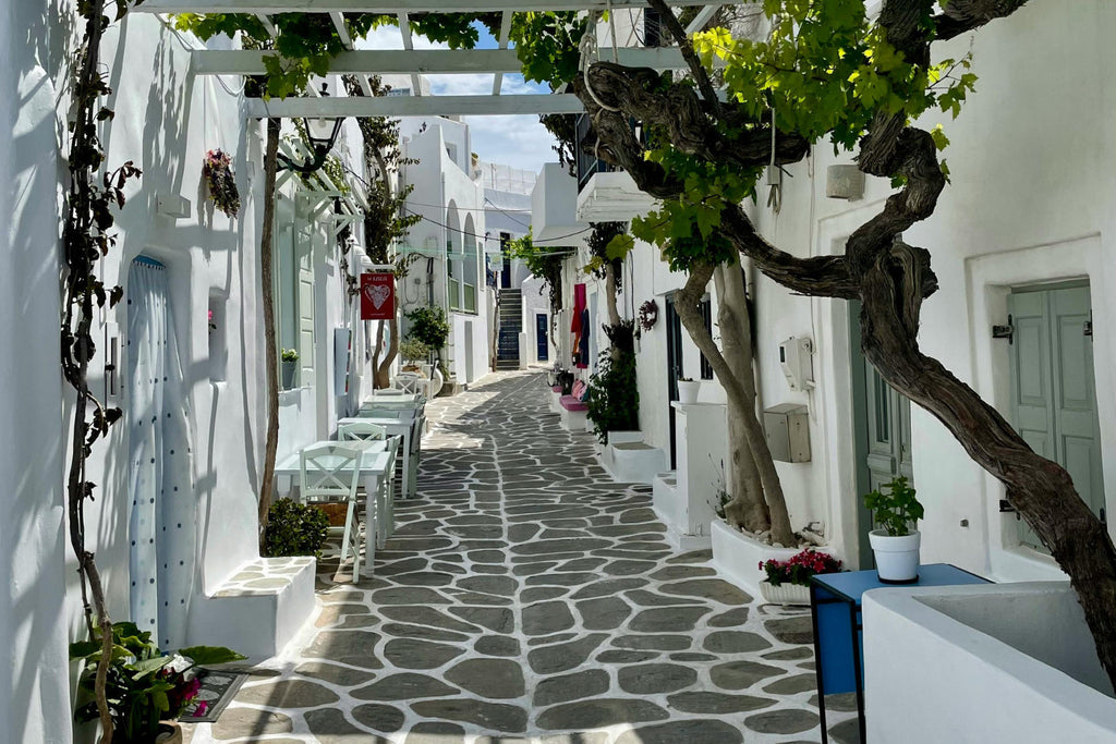 A whitewashed lane in a Paros village with a painted stone path, blue doors, flower pots and a twisting vine overhead